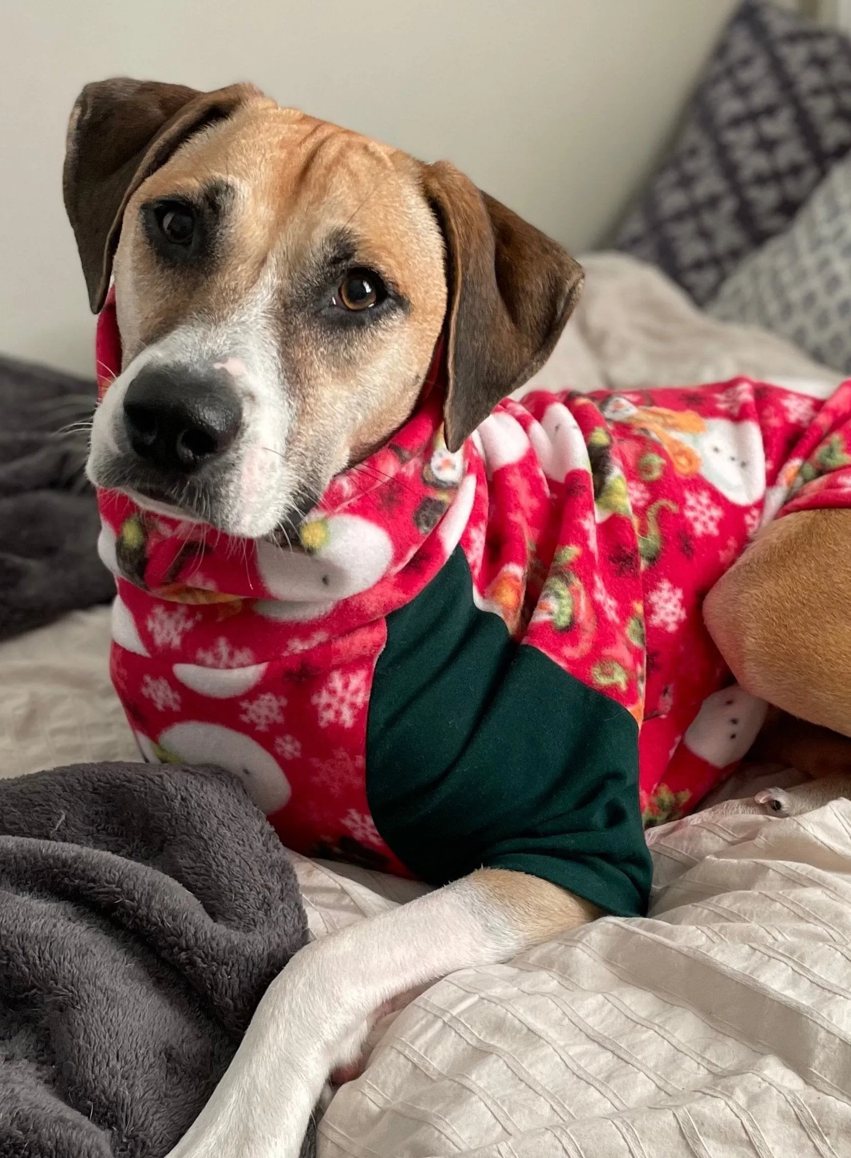 Holiday Snowman Dog Sweater